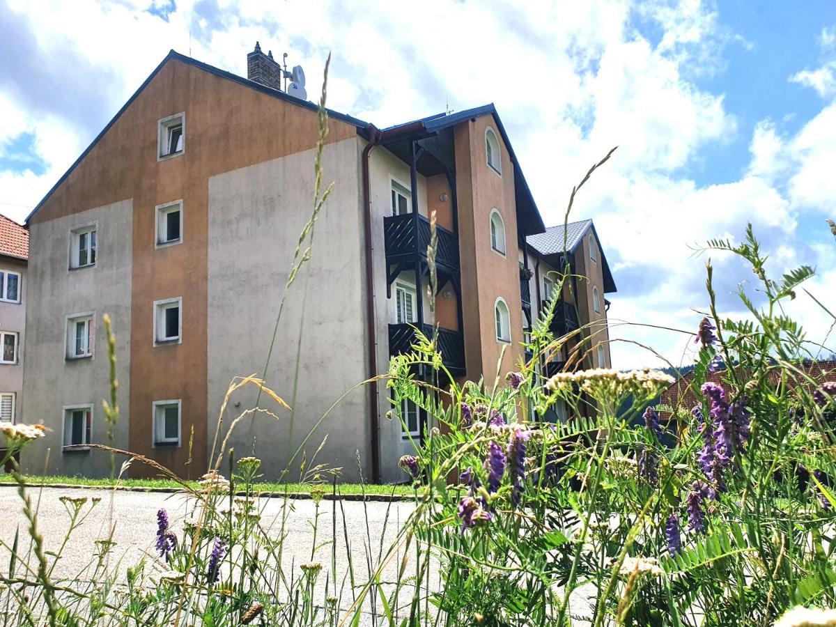 Apartmany Lipno-1 ลิปโนนัดเวิลตาวู ภายนอก รูปภาพ