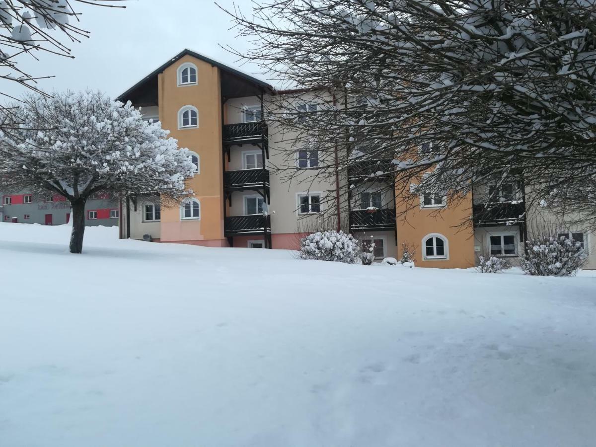 Apartmany Lipno-1 ลิปโนนัดเวิลตาวู ภายนอก รูปภาพ