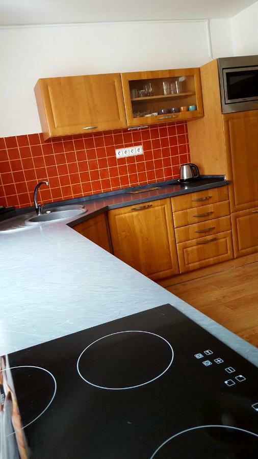 Apartmany Lipno-1 ลิปโนนัดเวิลตาวู ภายนอก รูปภาพ