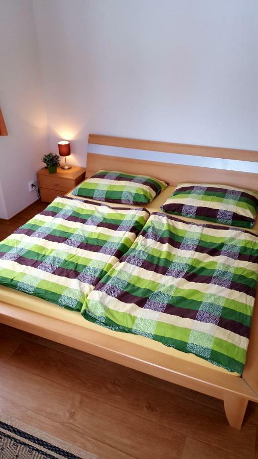 Apartmany Lipno-1 ลิปโนนัดเวิลตาวู ภายนอก รูปภาพ