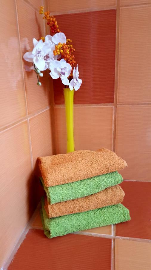 Apartmany Lipno-1 ลิปโนนัดเวิลตาวู ภายนอก รูปภาพ