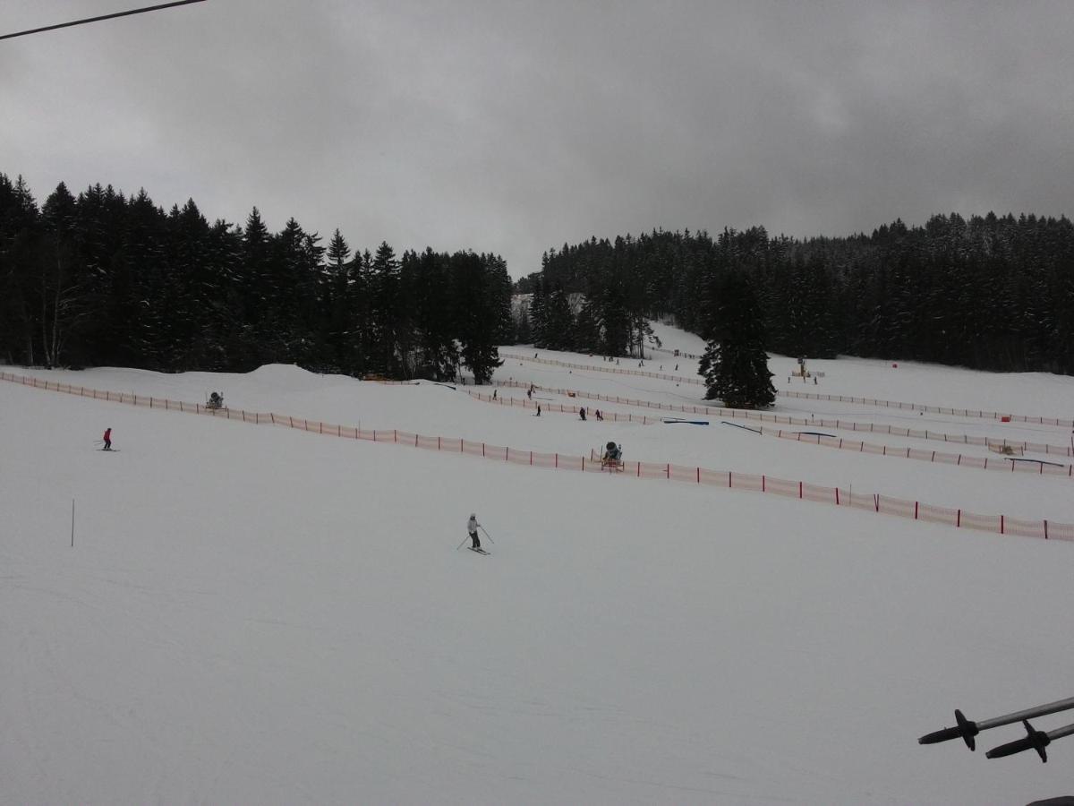 Apartmany Lipno-1 ลิปโนนัดเวิลตาวู ภายนอก รูปภาพ