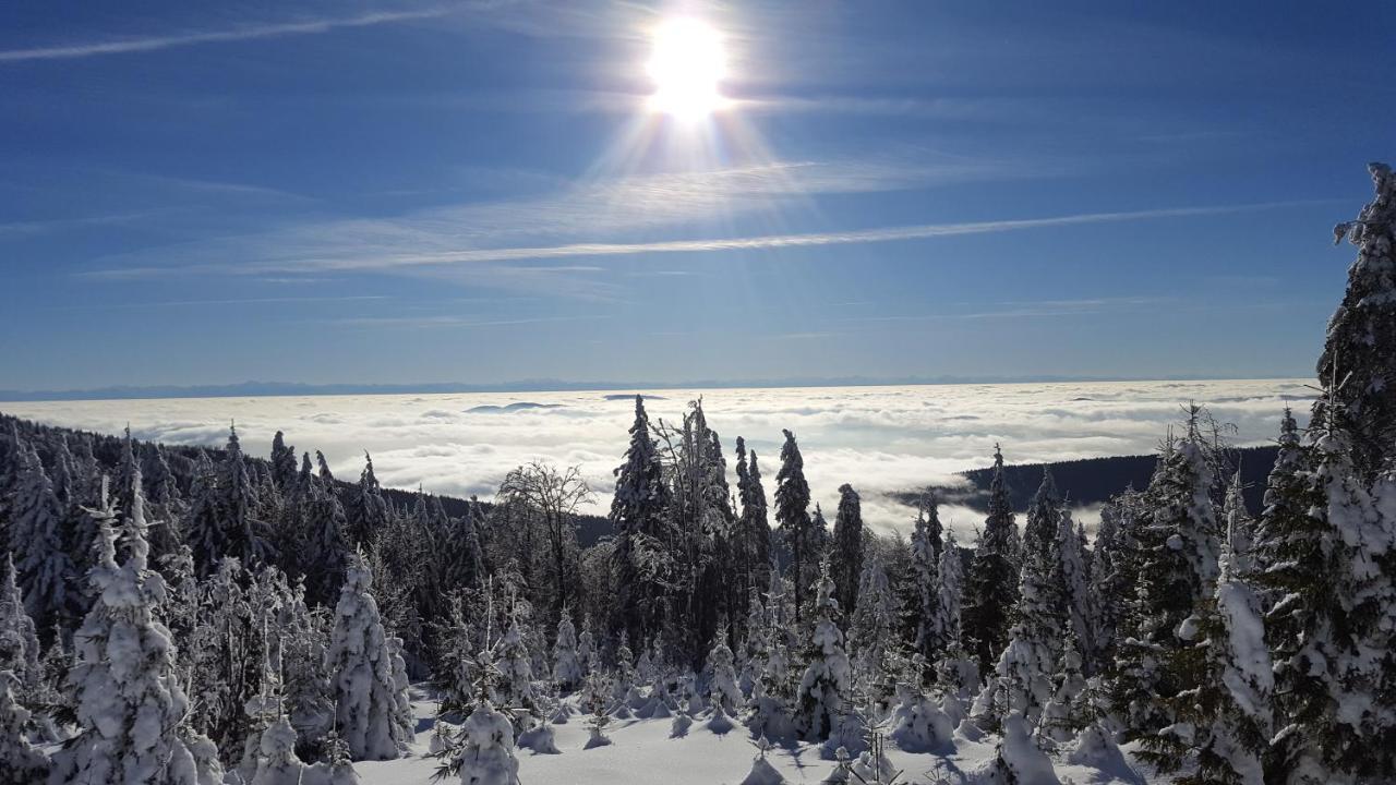 Apartmany Lipno-1 ลิปโนนัดเวิลตาวู ภายนอก รูปภาพ