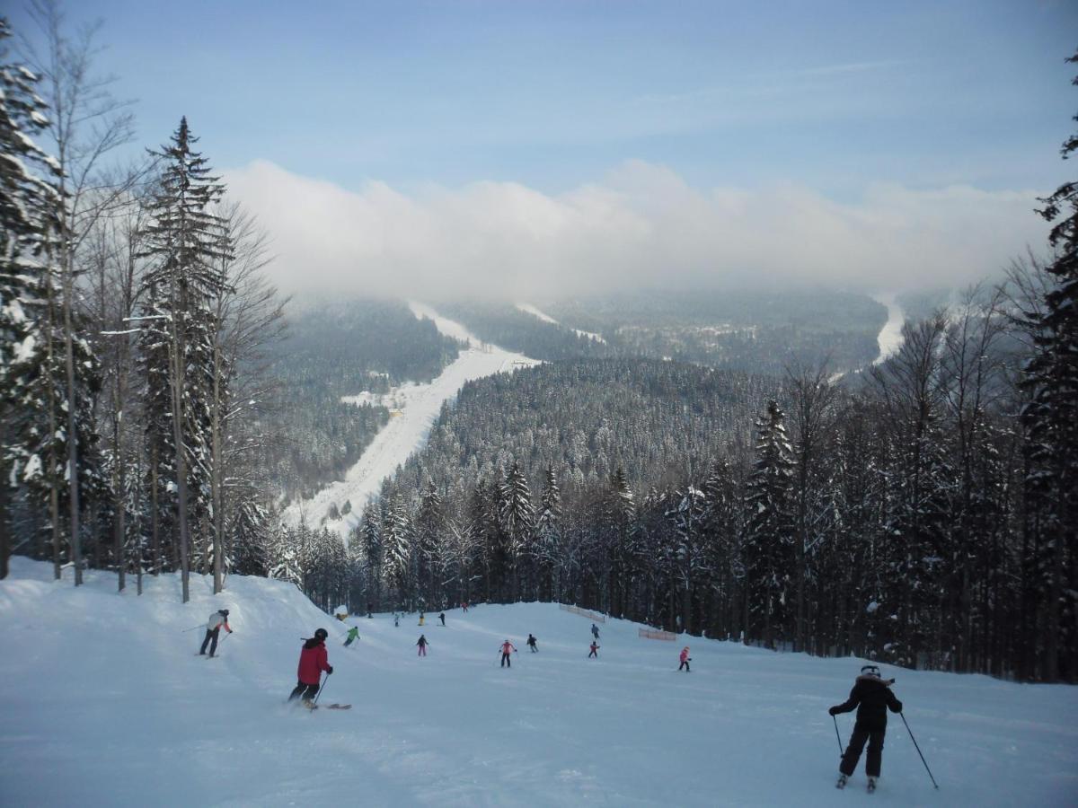 Apartmany Lipno-1 ลิปโนนัดเวิลตาวู ภายนอก รูปภาพ