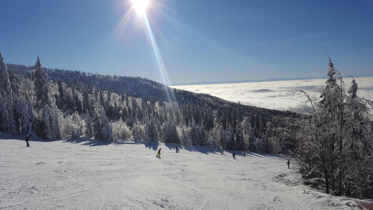 Apartmany Lipno-1 ลิปโนนัดเวิลตาวู ภายนอก รูปภาพ