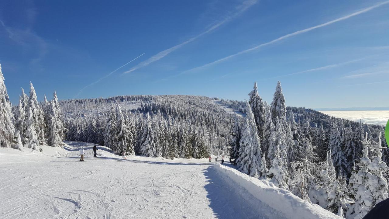 Apartmany Lipno-1 ลิปโนนัดเวิลตาวู ภายนอก รูปภาพ
